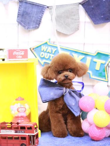 20230425ルイちゃん